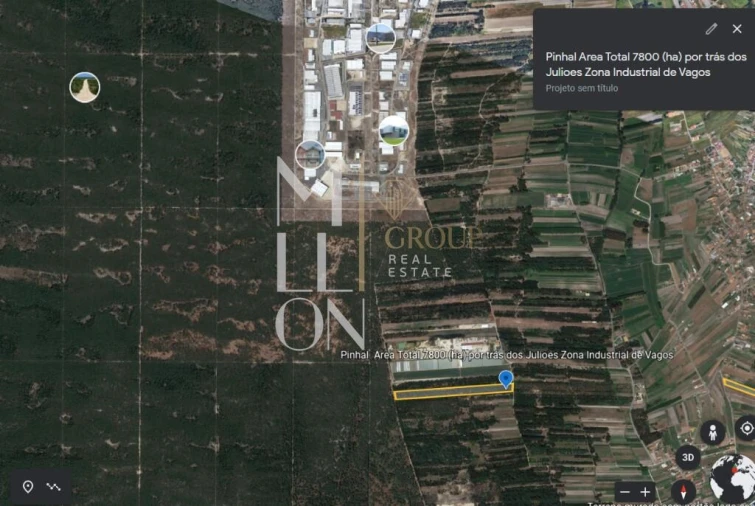 Terreno para Venda em Vagos e Santo António Foto 6