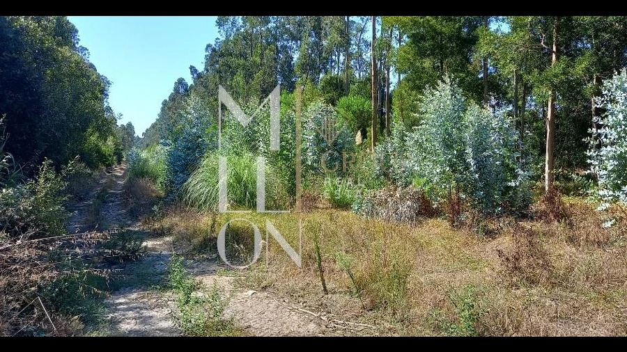 Terreno para Venda em Vagos e Santo António