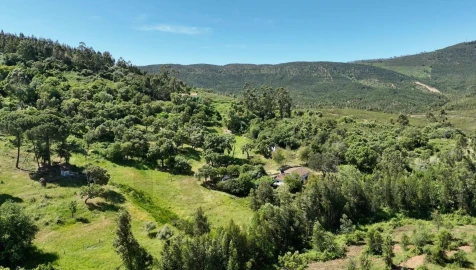 Quinta T6 para Venda em Gloria
