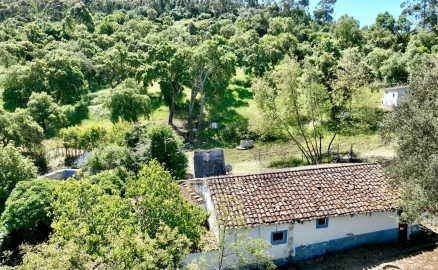 Quinta T6 para Venda em Gloria