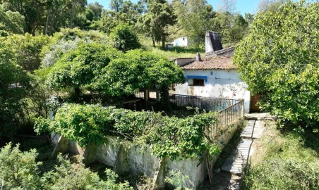 Quinta T6 para Venda em Gloria