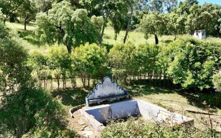 Quinta T6 para Venda em Gloria