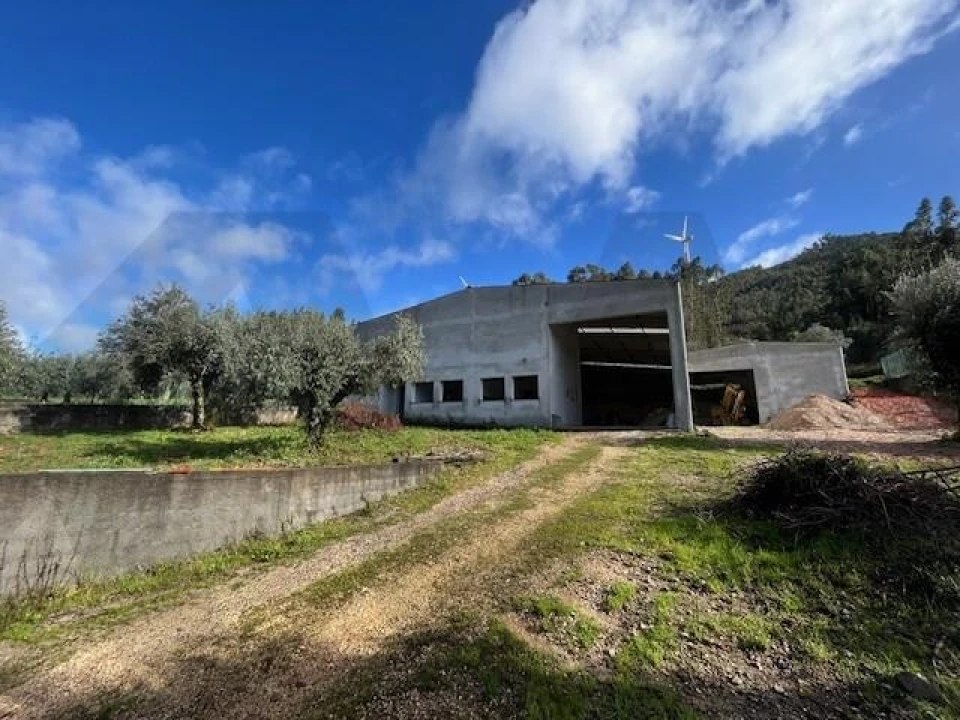 Terreno para Venda em Penacova Foto 5