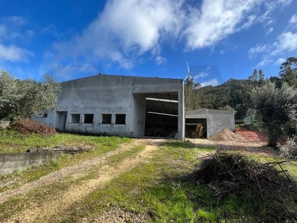 Terreno para Venda em Penacova Foto 4