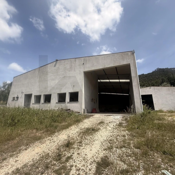 Terreno para Venda em Penacova Foto 1