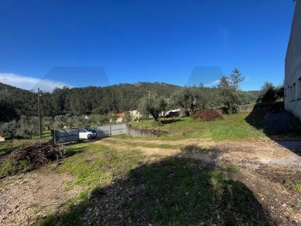 Terreno para Venda em Penacova Foto 34
