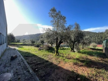 Terreno para Venda em Penacova
