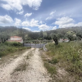 Terreno para Venda em Penacova