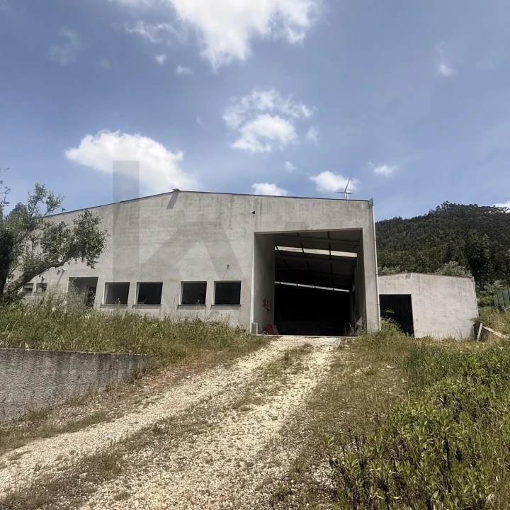 Terreno para Venda em Penacova Foto 2