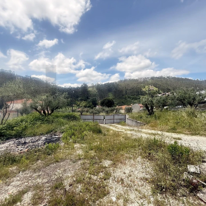 Terreno para Venda em Penacova Foto 32