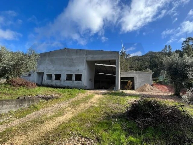 Terreno para Venda em Penacova Foto 4