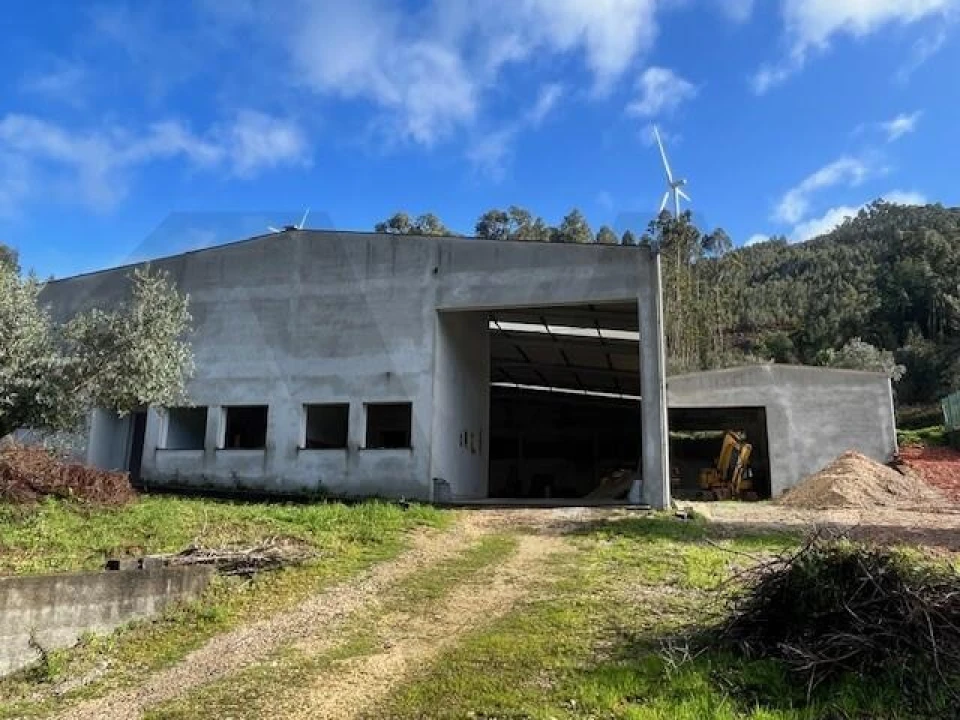 Terreno para Venda em Penacova Foto 3