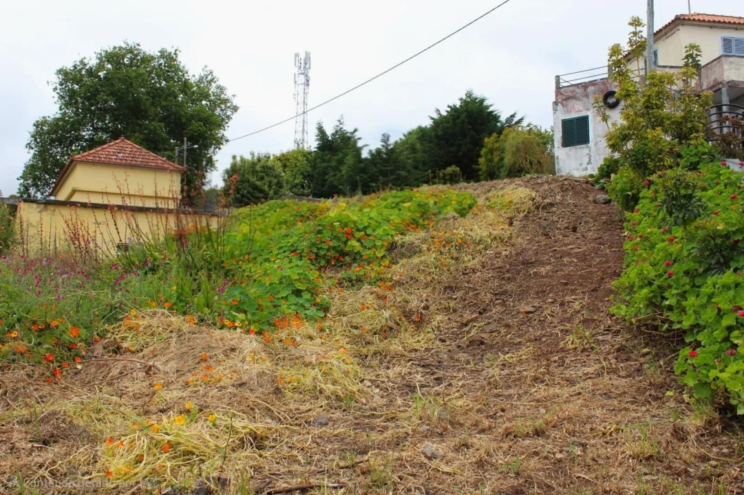 Terreno para Venda em Camacha Foto 15