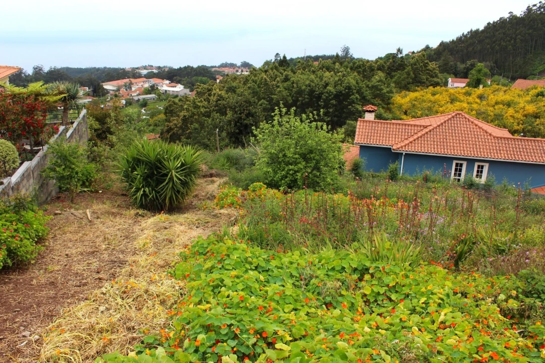 Terreno para Venda em Camacha Foto 11