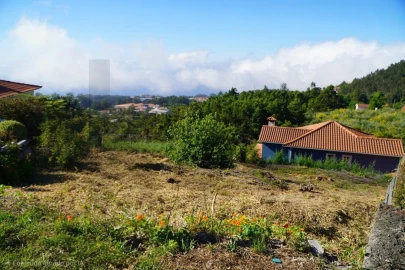 Terreno para Venda em Camacha