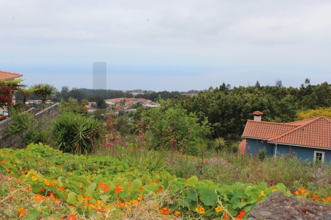 Terreno para Venda em Camacha Foto 8