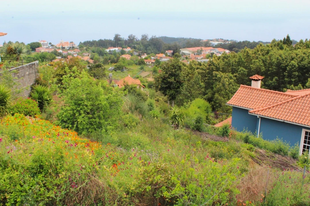 Terreno para Venda em Camacha Foto 13