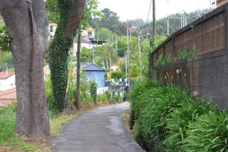 Terreno para Venda em Camacha Foto 4