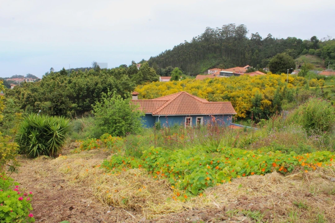 Terreno para Venda em Camacha Foto 10