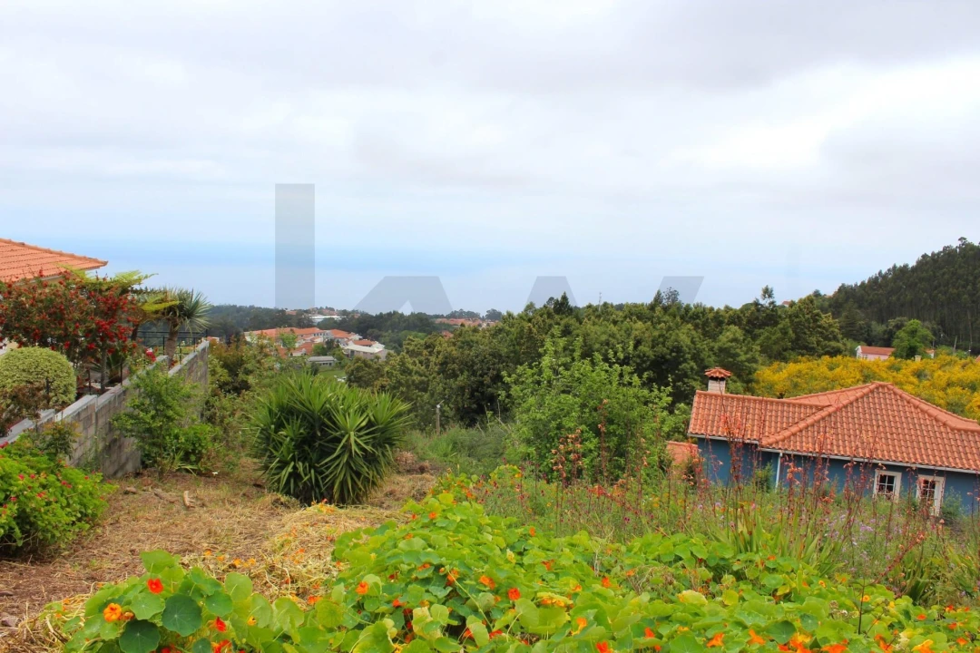 Terreno para Venda em Camacha Foto 9