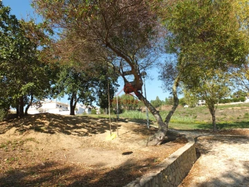 Terreno para Venda em Ericeira