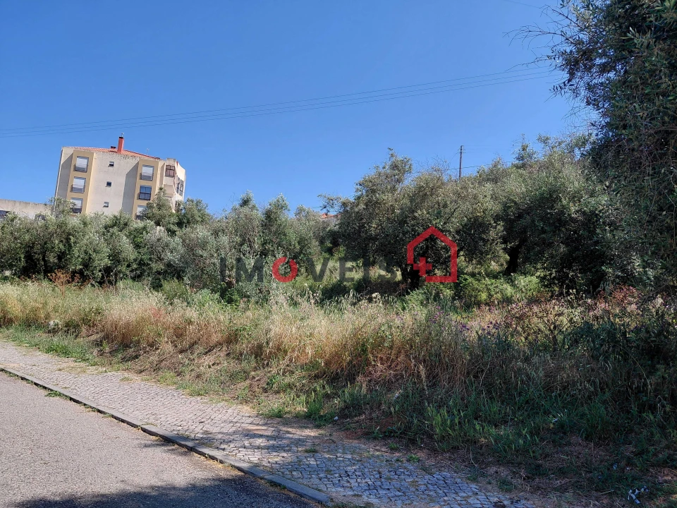 Terreno para Venda em Minde Foto 2