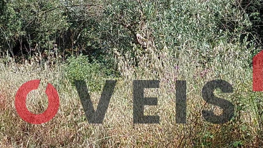 Terreno para Venda em Minde