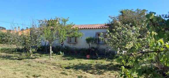 Terreno para Venda em Glória do Ribatejo e Granho