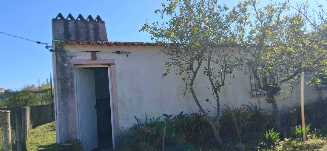 Terreno para Venda em Glória do Ribatejo e Granho Foto 4