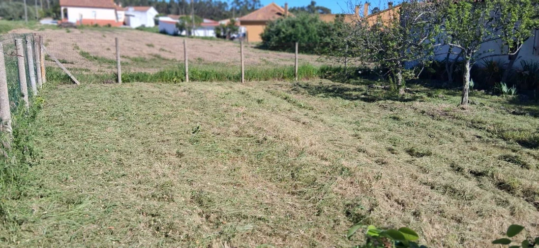 Terreno para Venda em Glória do Ribatejo e Granho Foto 6