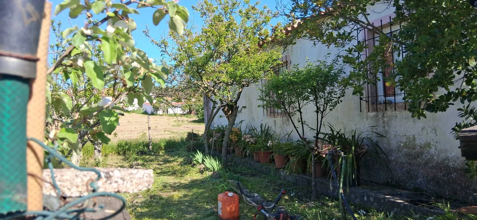 Terreno para Venda em Glória do Ribatejo e Granho Foto 3
