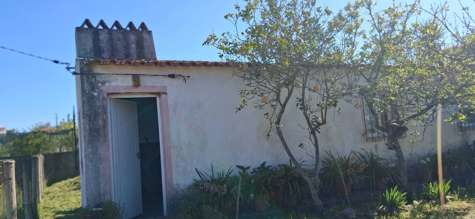 Terreno para Venda em Glória do Ribatejo e Granho Foto 4