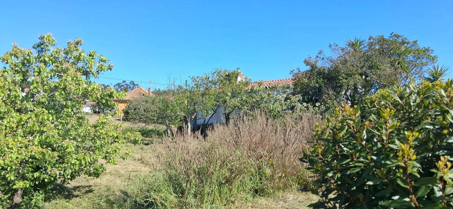 Terreno para Venda em Glória do Ribatejo e Granho Foto 8