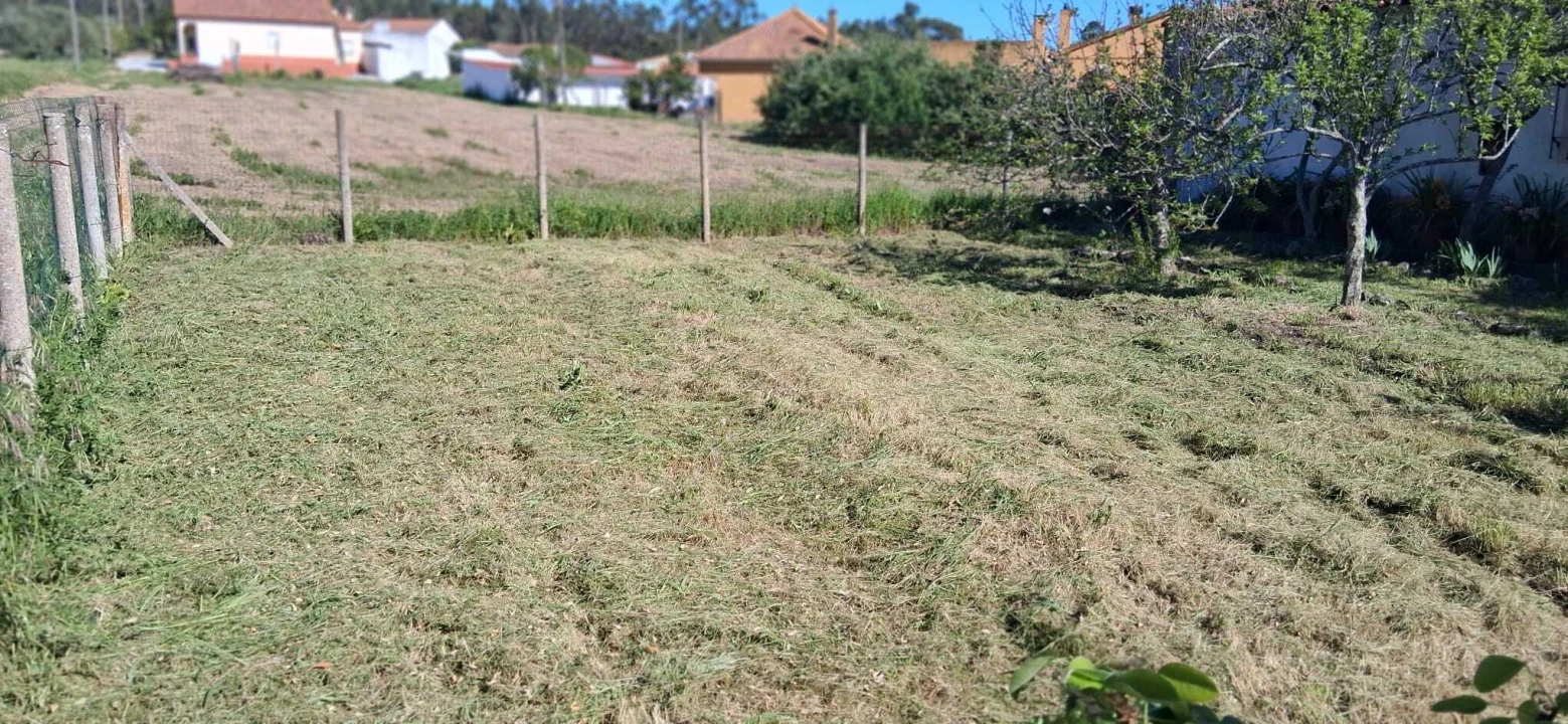 Terreno para Venda em Glória do Ribatejo e Granho Foto 6