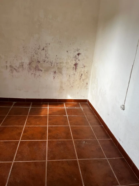 Moradia T3 para Venda em São Jose da Lamarosa