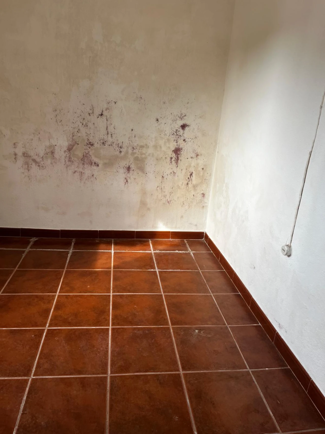 Moradia T3 para Venda em São Jose da Lamarosa Foto 6