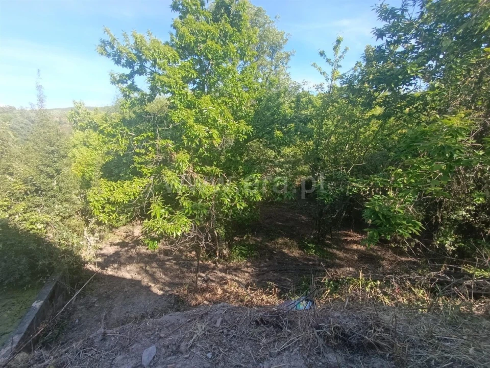 Terreno para Venda em Alcongosta Foto 12