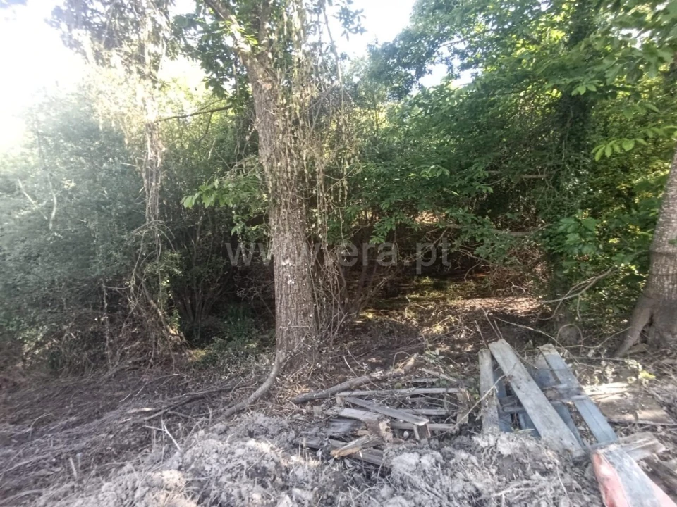 Terreno para Venda em Alcongosta Foto 13