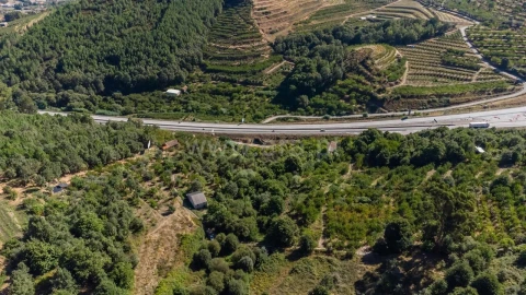 Quinta T0 para Venda em Alcongosta