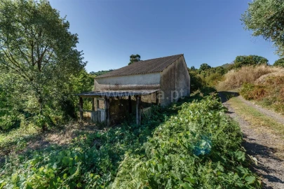Quinta T0 para Venda em Alcongosta