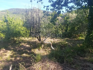 Terreno para Venda em Alcongosta