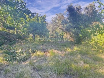 Terreno para Venda em Alcongosta