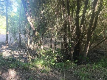 Terreno para Venda em Alcongosta