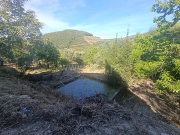 Terreno para Venda em Alcongosta