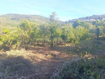 Terreno para Venda em Alcongosta