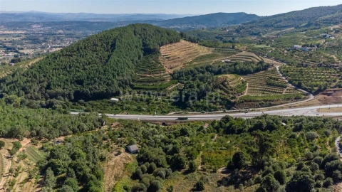 Quinta T0 para Venda em Alcongosta