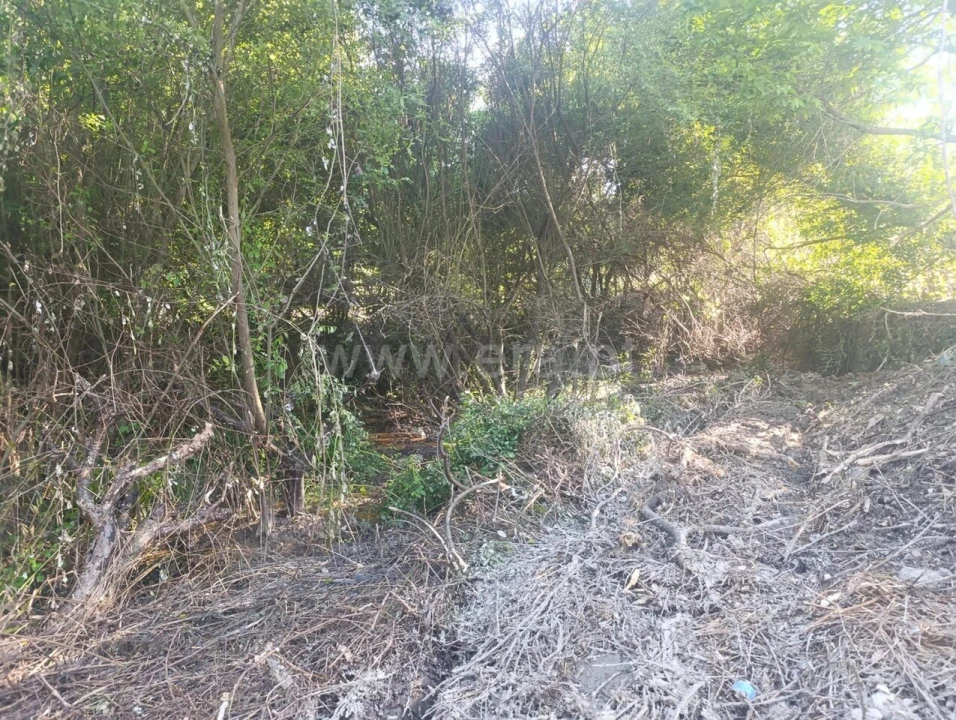 Terreno para Venda em Alcongosta Foto 15