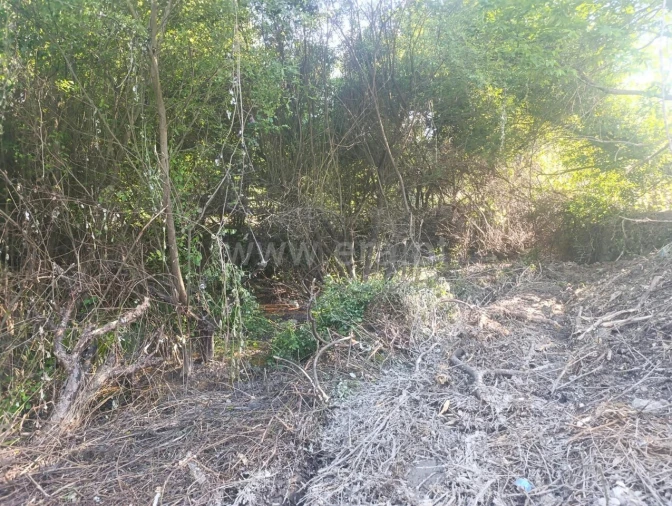 Terreno para Venda em Alcongosta Foto 15