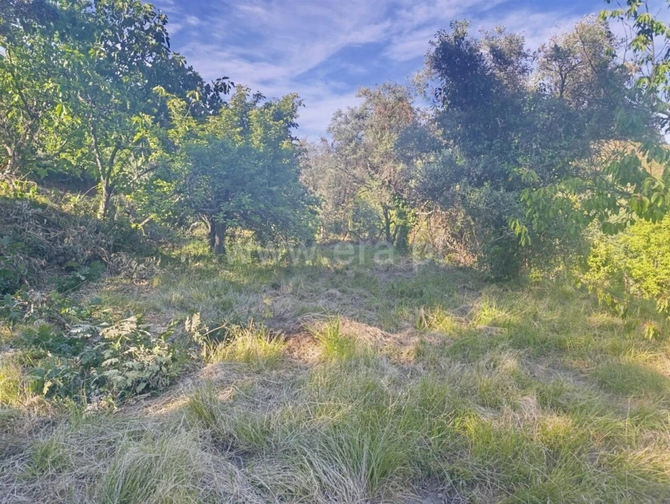 Terreno para Venda em Alcongosta Foto 3