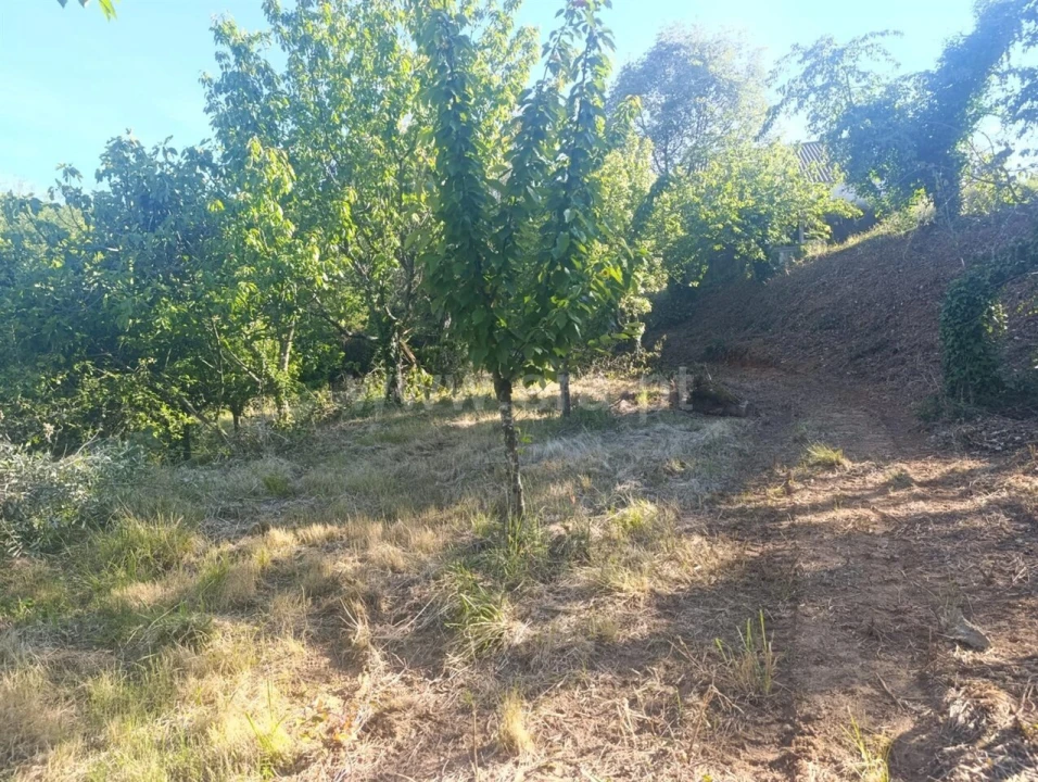 Terreno para Venda em Alcongosta Foto 6